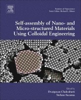 Stefan T. Bromley, Scott M. Woodley - Computational Modelling of Nanoparticles, Inbunden