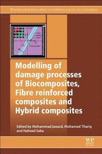 bokomslag Modelling of Damage Processes in Biocomposites, Fibre-Reinforced Composites and Hybrid Composites