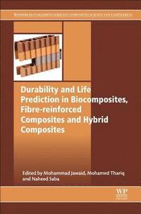 bokomslag Durability and Life Prediction in Biocomposites, Fibre-Reinforced Composites and Hybrid Composites