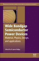 Wide Bandgap Semiconductor Power Devices