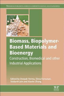 bokomslag Biomass, Biopolymer-Based Materials, and Bioenergy