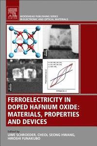 bokomslag Ferroelectricity in Doped Hafnium Oxide