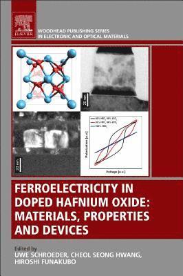 Ferroelectricity in Doped Hafnium Oxide 1