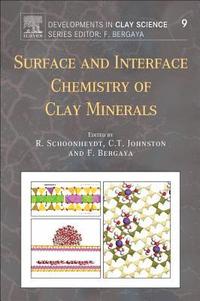 bokomslag Surface and Interface Chemistry of Clay Minerals