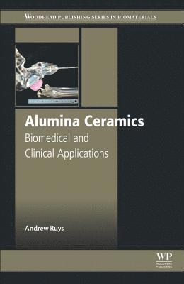 Alumina Ceramics 1