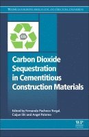 F. Pacheco-Torgal, Caijun Shi, Angel Palomo - Carbon Dioxide Sequestration in Cementitious Construction Materials, Häftad