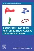 Pallippattu Krishnan Vijayan, Arun K. Nayak, Naveen Kumar - Single-phase, Two-phase and Supercritical Natural Circulation Systems, Häftad