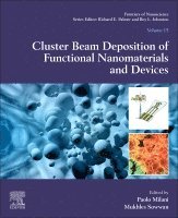 Paolo Milani, Mukhles Sowwan - Cluster Beam Deposition of Functional Nanomaterials and Devices, Häftad