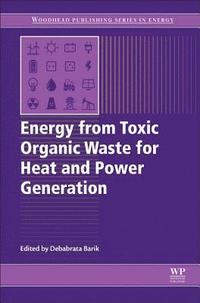 bokomslag Energy from Toxic Organic Waste for Heat and Power Generation