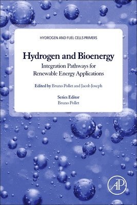bokomslag Hydrogen, Biomass and Bioenergy