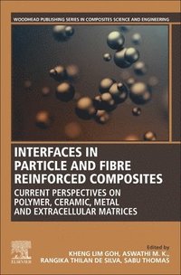 bokomslag Interfaces in Particle and Fibre Reinforced Composites