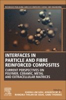 bokomslag Interfaces in Particle and Fibre Reinforced Composites