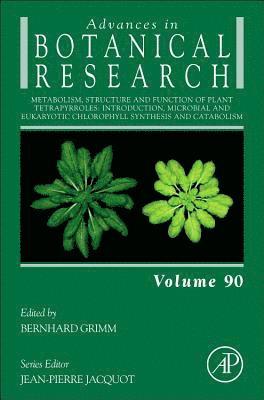 Metabolism, Structure and Function of Plant Tetrapyrroles: Introduction, Microbial and Eukaryotic Chlorophyll Synthesis and Catabolism 1