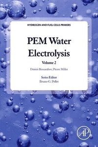 bokomslag PEM Water Electrolysis