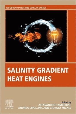 bokomslag Salinity Gradient Heat Engines