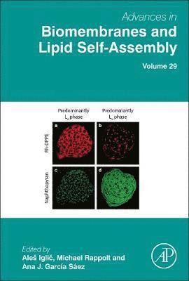 bokomslag Advances in Biomembranes and Lipid Self-Assembly