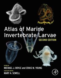 bokomslag Atlas of Marine Invertebrate Larvae