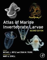 bokomslag Atlas of Marine Invertebrate Larvae