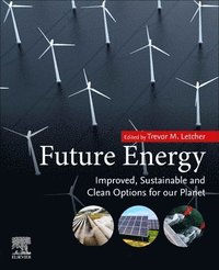 bokomslag Future Energy