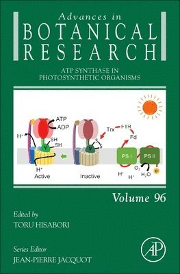 ATP Synthase in Photosynthetic Organisms 1