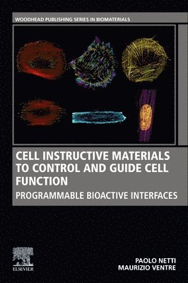 Cell Instructive Materials to Control and Guide Cell Function 1