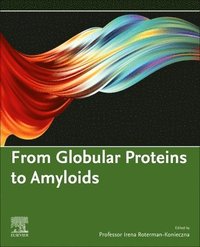 bokomslag From Globular Proteins to Amyloids