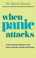 bokomslag When Panic Attacks