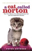 bokomslag A Cat Called Norton