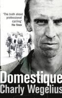 bokomslag Domestique