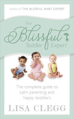 The Blissful Toddler Expert 1