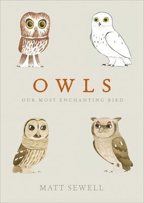 bokomslag Owls