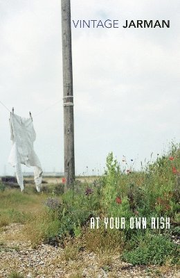 Derek Jarman - At Your Own Risk, Häftad