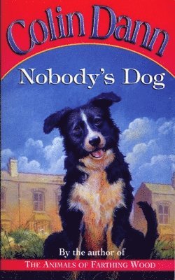 Nobody's Dog 1