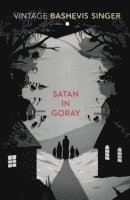 bokomslag Satan in Goray