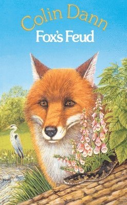 Colin Dann - Fox's Feud, Häftad