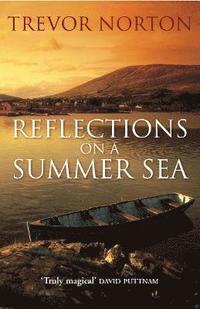 bokomslag Reflections On A Summer Sea