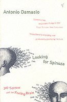 Antonio Damasio - Looking For Spinoza, Häftad
