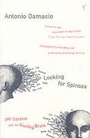 bokomslag Looking For Spinoza