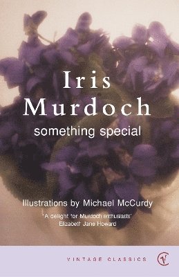 Iris Murdoch - Something Special, Häftad