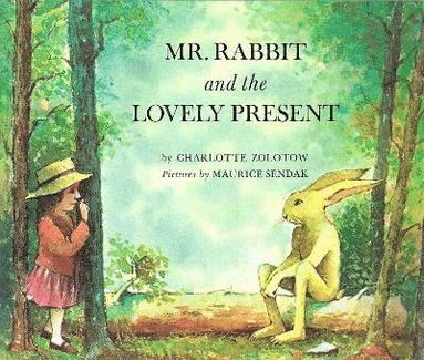 bokomslag Mr Rabbit And The Lovely Present