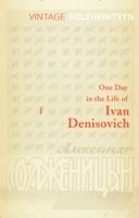 bokomslag One Day in the Life of Ivan Denisovich