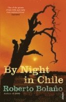 bokomslag By Night in Chile