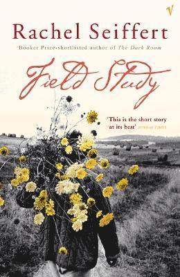 Rachel Seiffert - Field Study, Häftad