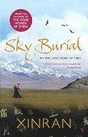 bokomslag Sky Burial