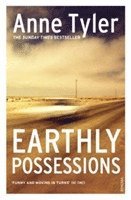 bokomslag Earthly Possessions