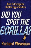 Did You Spot The Gorilla? 1