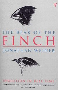 bokomslag The Beak Of The Finch