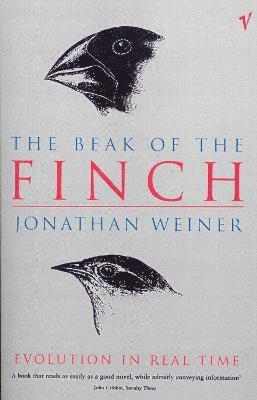 The Beak Of The Finch 1