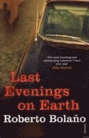 bokomslag Last Evenings On Earth