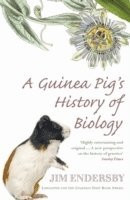bokomslag A Guinea Pig's History Of Biology